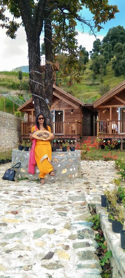 Vanprastha Resorts Dwarahat 外观 照片