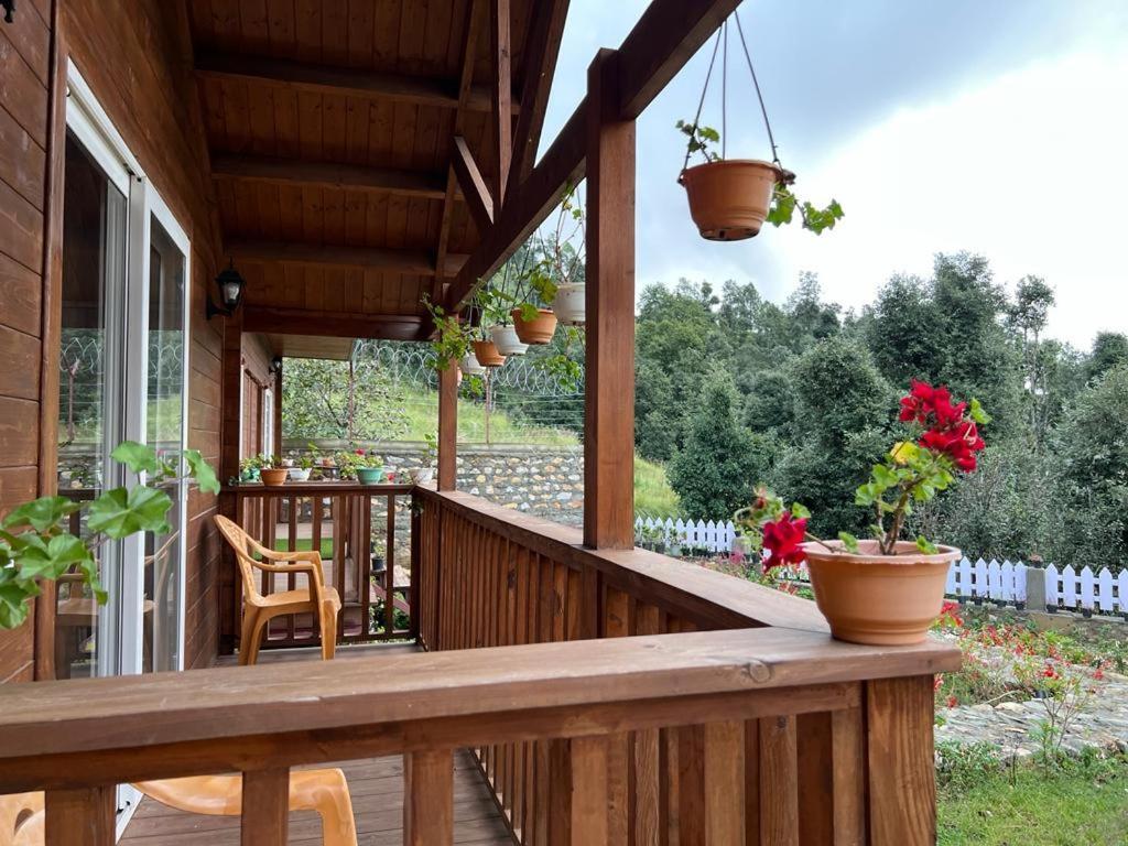 Vanprastha Resorts Dwarahat 外观 照片
