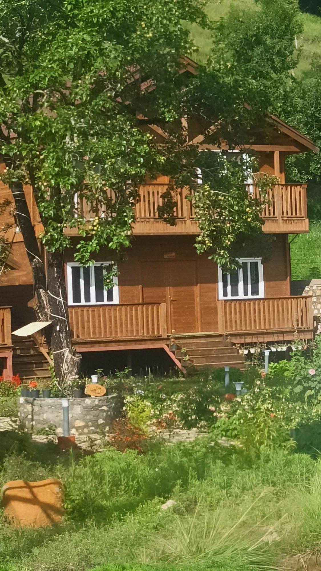 Vanprastha Resorts Dwarahat 外观 照片