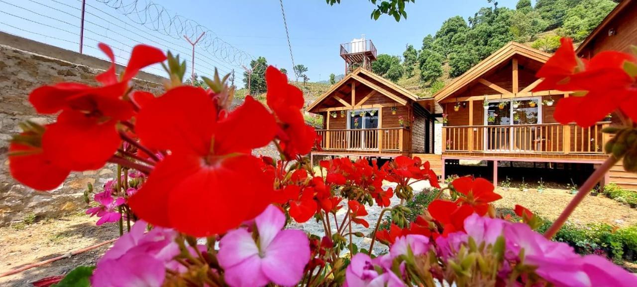 Vanprastha Resorts Dwarahat 外观 照片